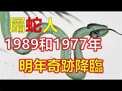 1989年生肖五行|1989年属蛇的是什么命，89年出生的蛇五行属什么